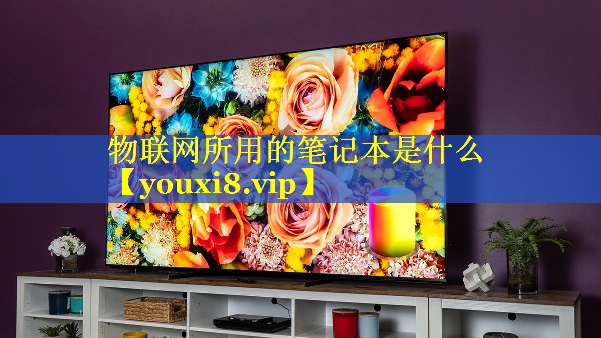 物联网所用的笔记本是什么