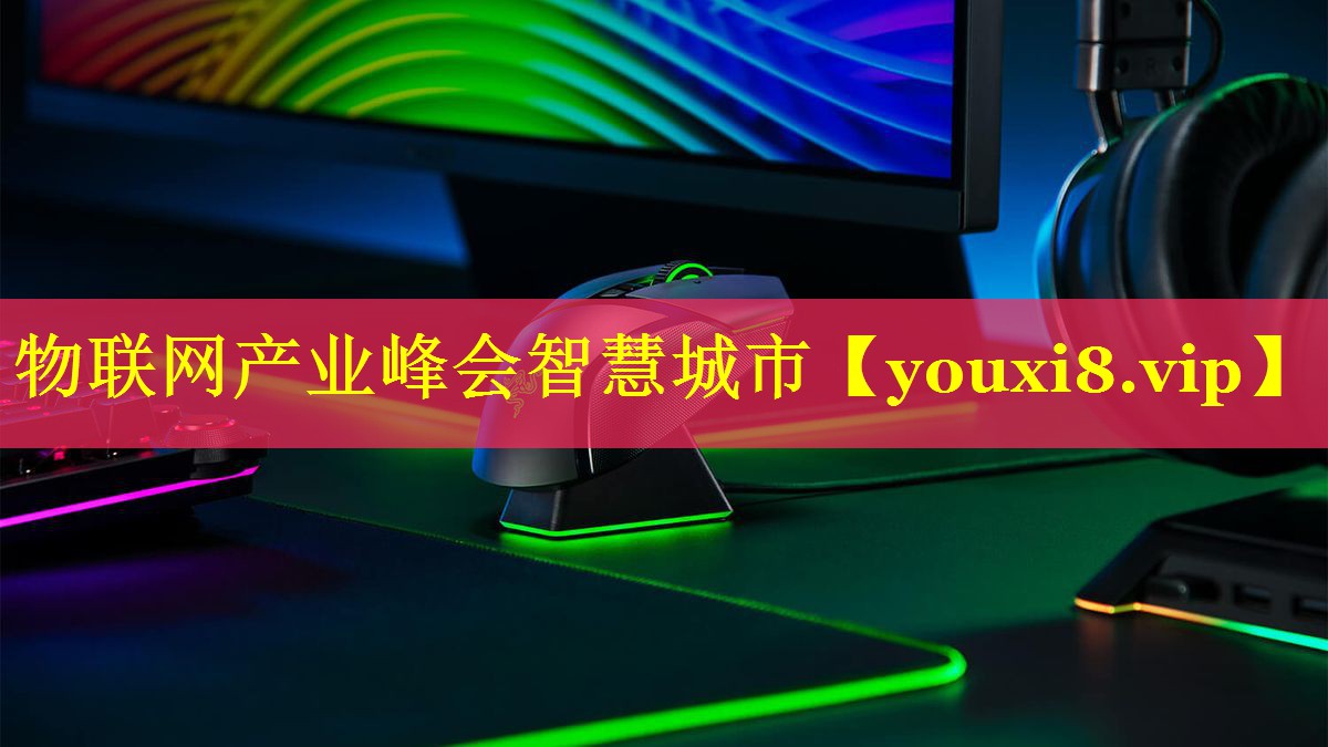 物联网产业峰会智慧城市