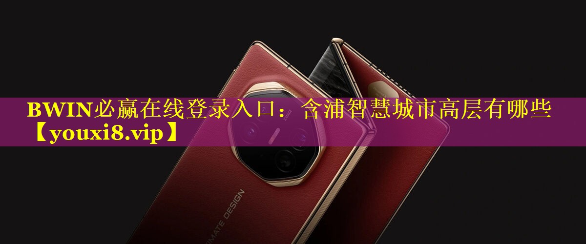 BWIN必赢在线登录入口：含浦智慧城市高层有哪些
