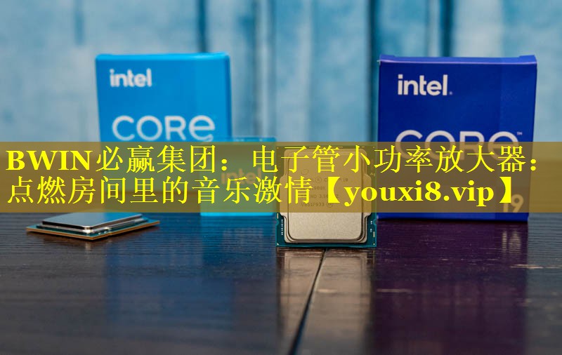 BWIN必赢集团：电子管小功率放大器：点燃房间里的音乐激情