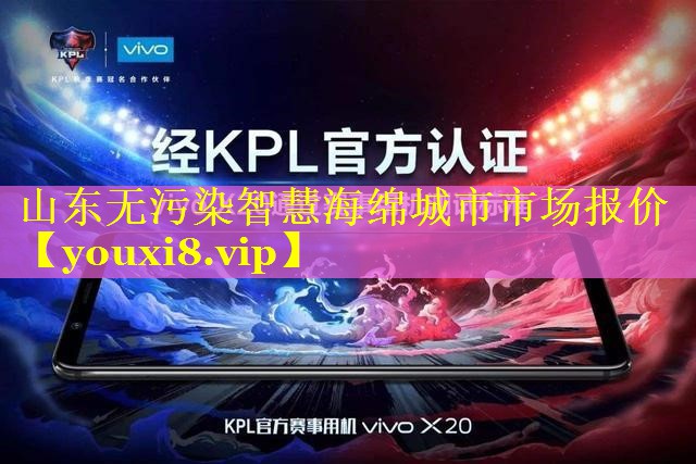 山东无污染智慧海绵城市市场报价