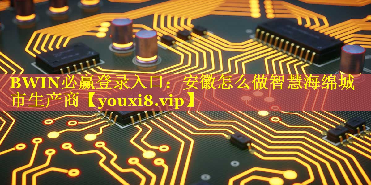 BWIN必赢登录入口：安徽怎么做智慧海绵城市生产商