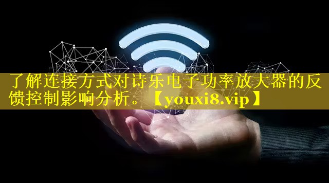 了解连接方式对诗乐电子功率放大器的反馈控制影响分析。