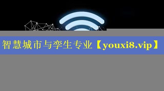 智慧城市与孪生专业