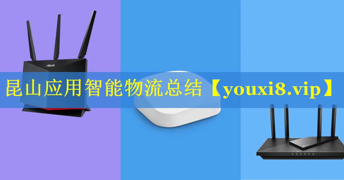 昆山应用智能物流总结