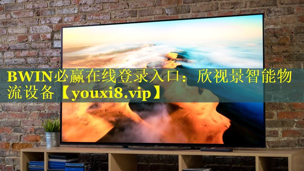 BWIN必赢在线登录入口：欣视景智能物流设备