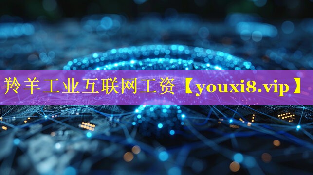 羚羊工业互联网工资