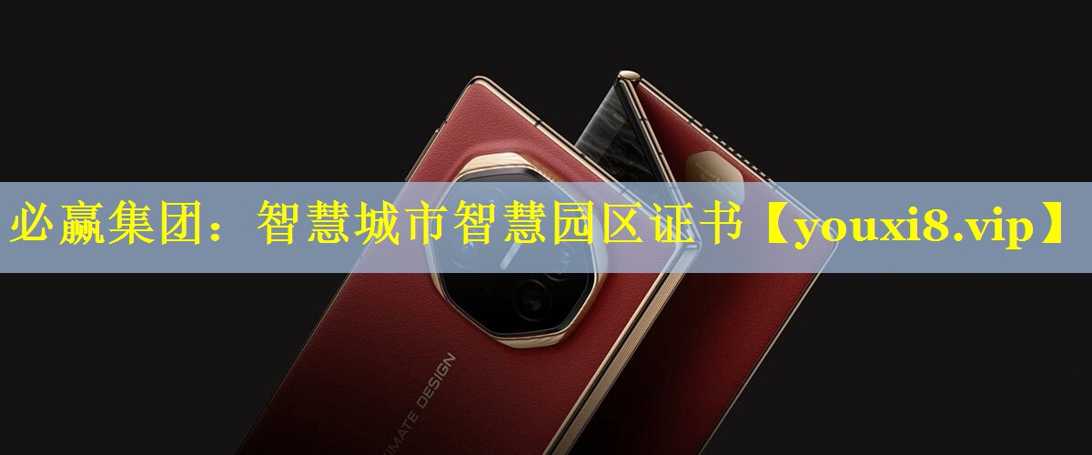 必赢集团：智慧城市智慧园区证书