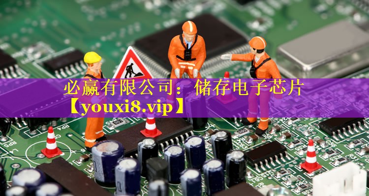 必赢有限公司：储存电子芯片