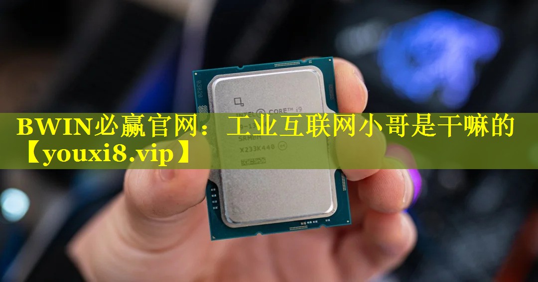BWIN必赢官网：工业互联网小哥是干嘛的