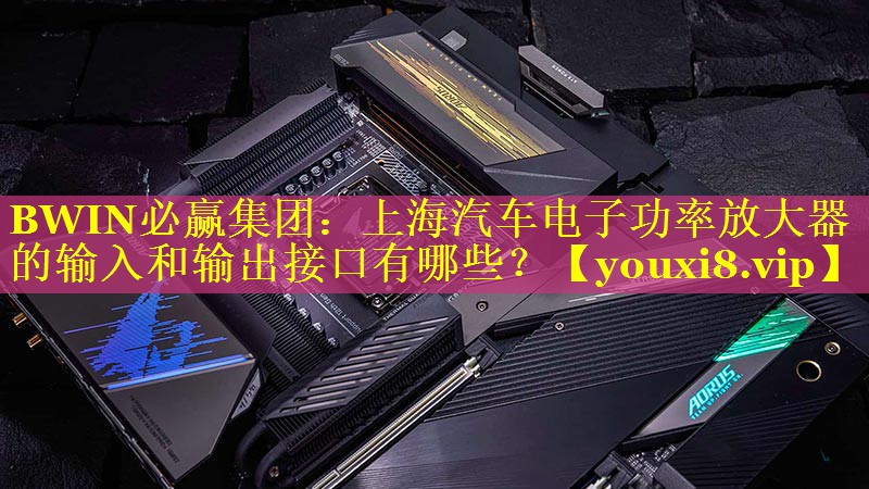 BWIN必赢集团：上海汽车电子功率放大器的输入和输出接口有哪些？