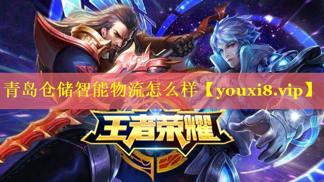 青岛仓储智能物流怎么样