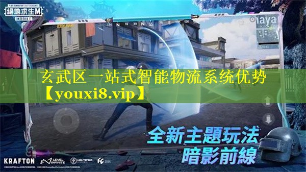 玄武区一站式智能物流系统优势