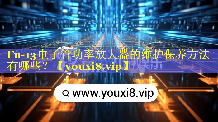 Fu-13电子管功率放大器的维护保养方法有哪些？