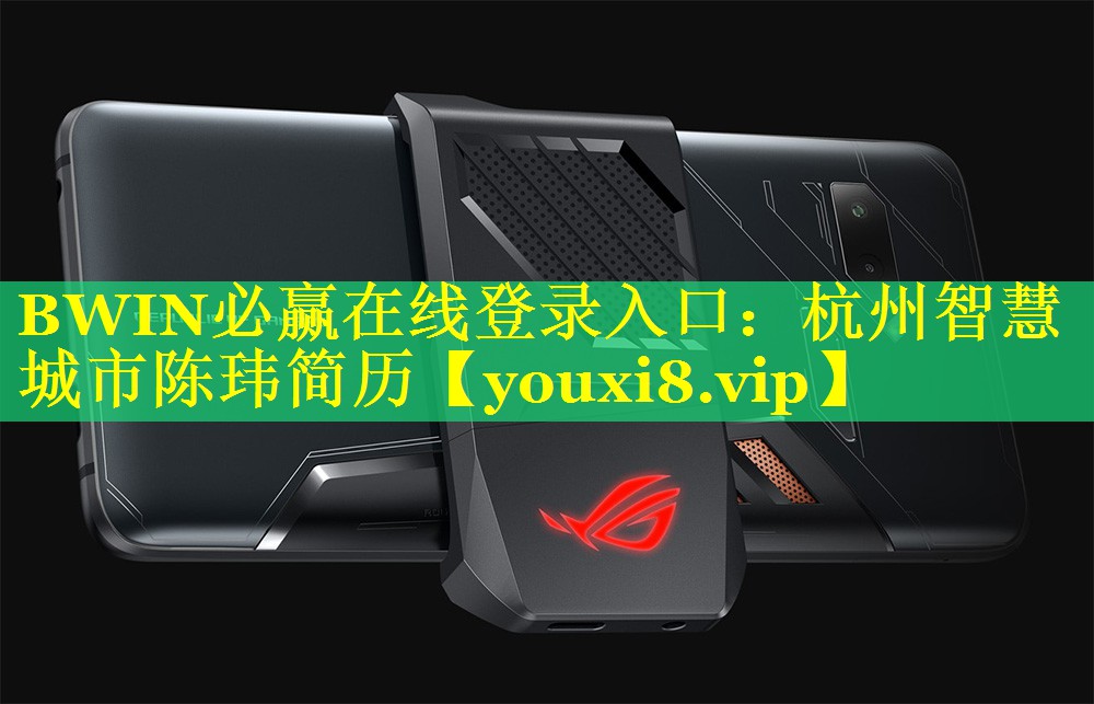 BWIN必赢在线登录入口：杭州智慧城市陈玮简历