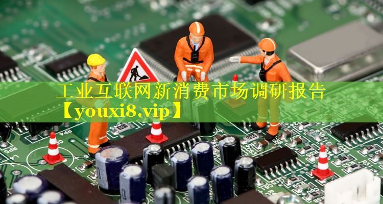 工业互联网新消费市场调研报告 工业互联网新消费市场调研报告