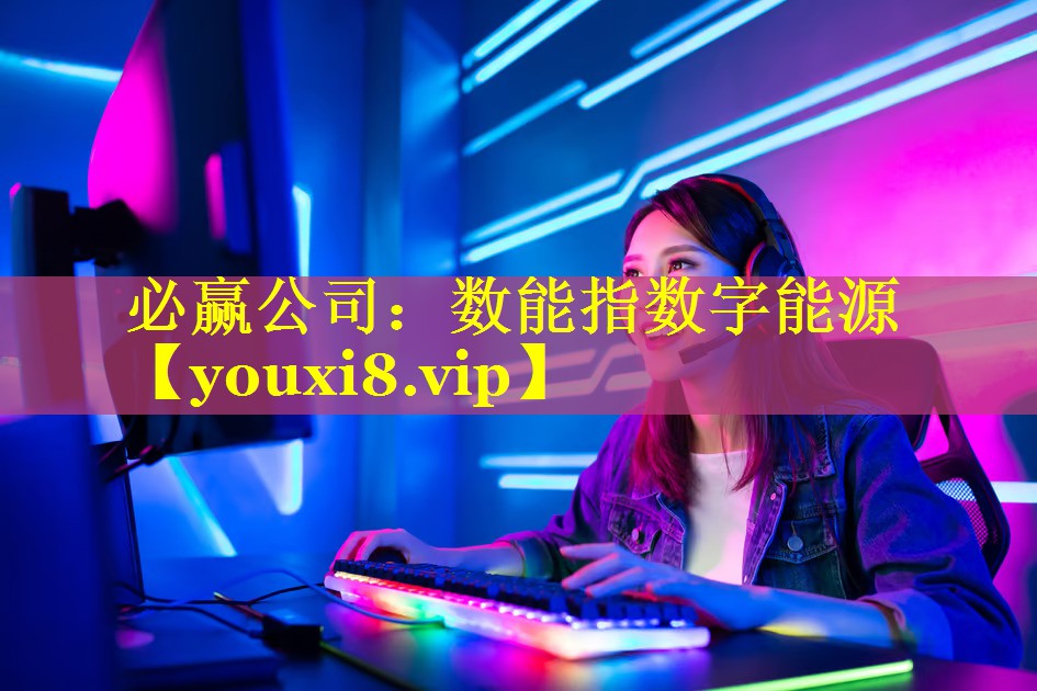数能指数字能源 数能指数字能源