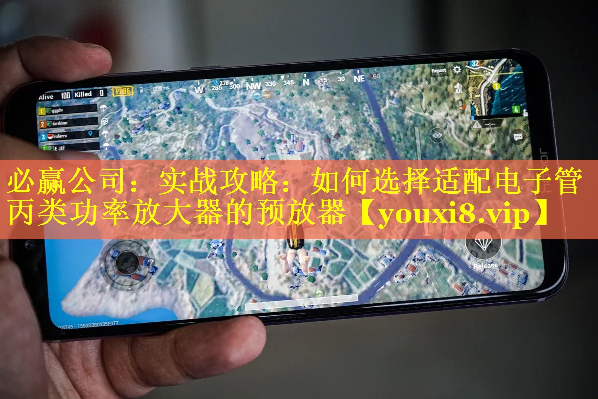 实战攻略:如何选择适配电子管丙类功率放大器的预放器 实战攻略:如何选择适配电子管丙类功率放大器的预放器