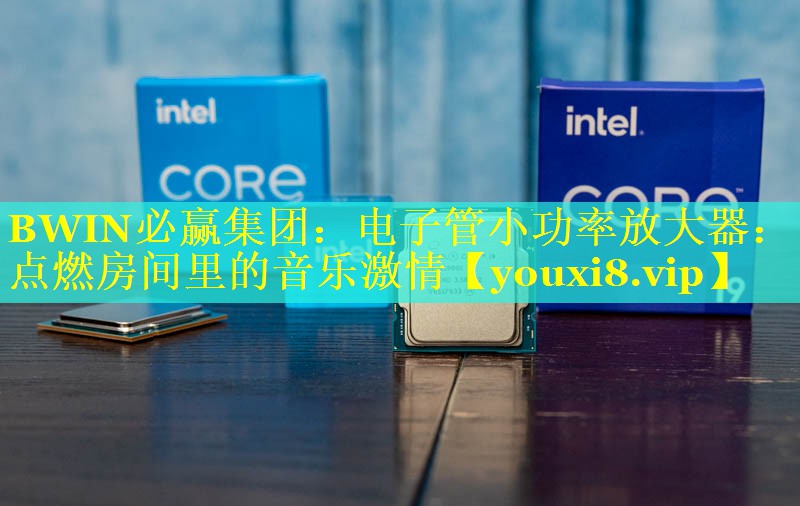 电子管小功率放大器:点燃房间里的音乐激情 电子管小功率放大器:点燃房间里的音乐激情