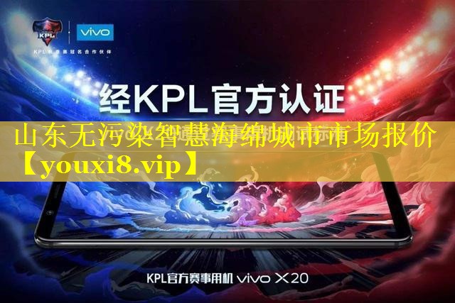 山东无污染智慧海绵城市市场报价 山东无污染智慧海绵城市市场报价