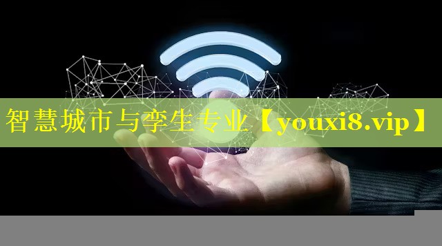 智慧城市与孪生专业 智慧城市与孪生专业