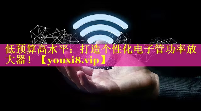 低预算高水平:打造个性化电子管功率放大器! 低预算高水平:打造个性化电子管功率放大器!