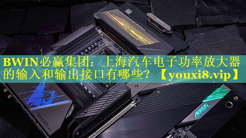 上海汽车电子功率放大器的输入和输出接口有哪些? 上海汽车电子功率放大器的输入和输出接口有哪些?