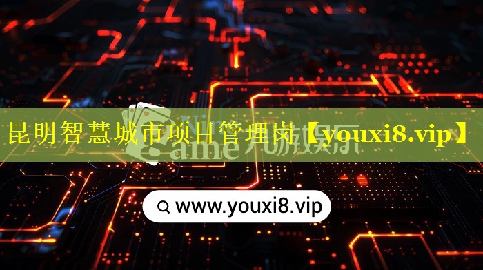 昆明智慧城市项目管理岗 昆明智慧城市项目管理岗