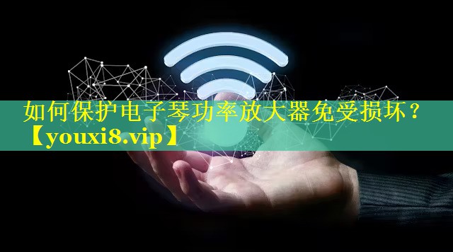 如何保护电子琴功率放大器免受损坏? 如何保护电子琴功率放大器免受损坏?